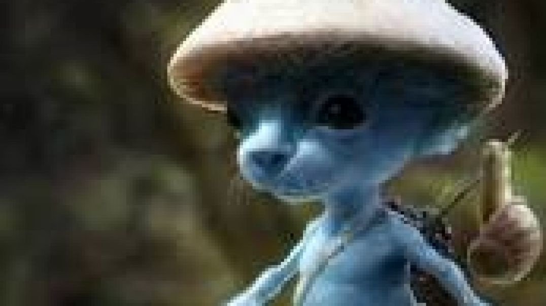 Smurf Cat We Live We Love We Lie